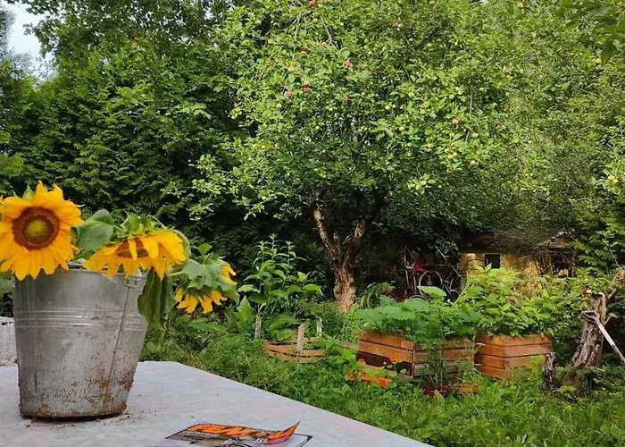 Vallis Gratiae Naantali